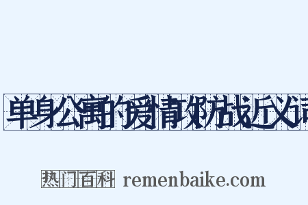 单身公寓的爱情攻防战近义词是什么意思的图片